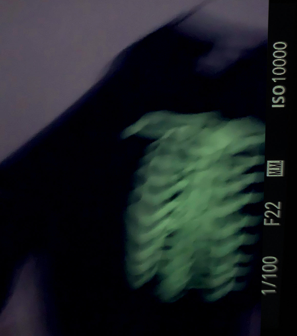 【25AW先行予約】BORN LUMINOUS SWEAT